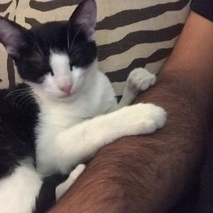 Meet your Posher, Jesse